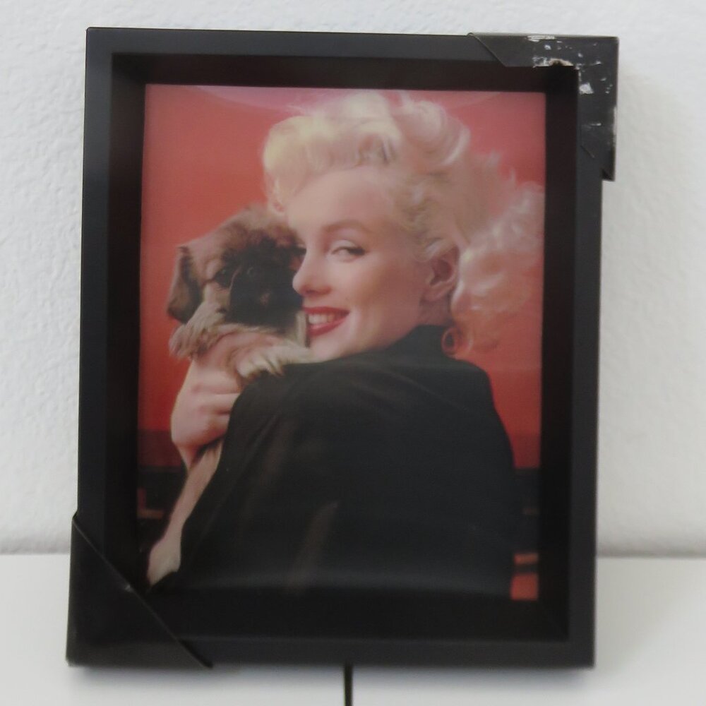 3D Marilyn Monroe Picture